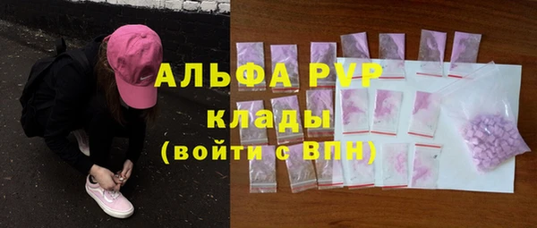 сатива Аркадак