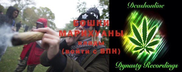 сатива Аркадак