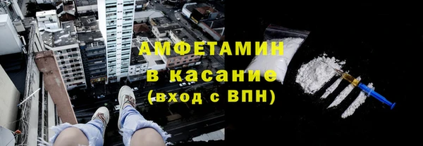 сатива Аркадак