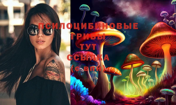 а пвп мука Армянск