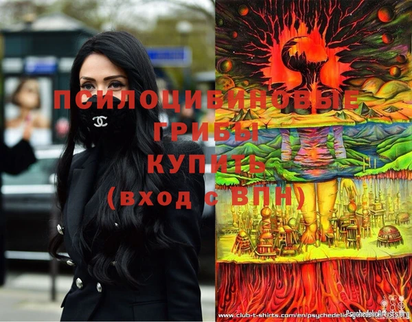 сатива Аркадак