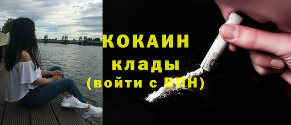 сатива Аркадак