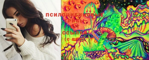 спиды Арсеньев