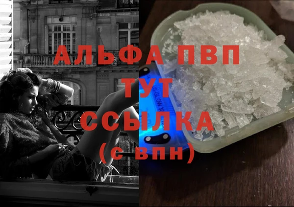 сатива Аркадак