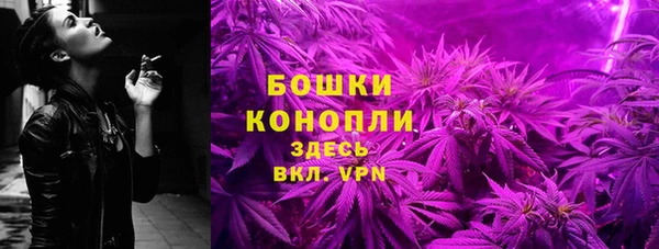 спиды Арсеньев