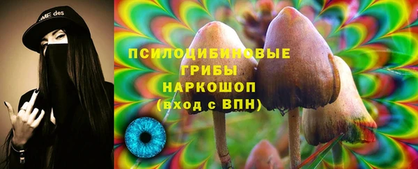 спиды Арсеньев